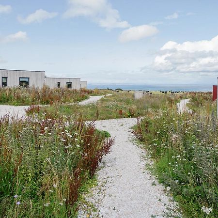 Rustic Cabins, Sea Views From Rewilded Farm With Highland Cows St Andrews Eksteriør bilde