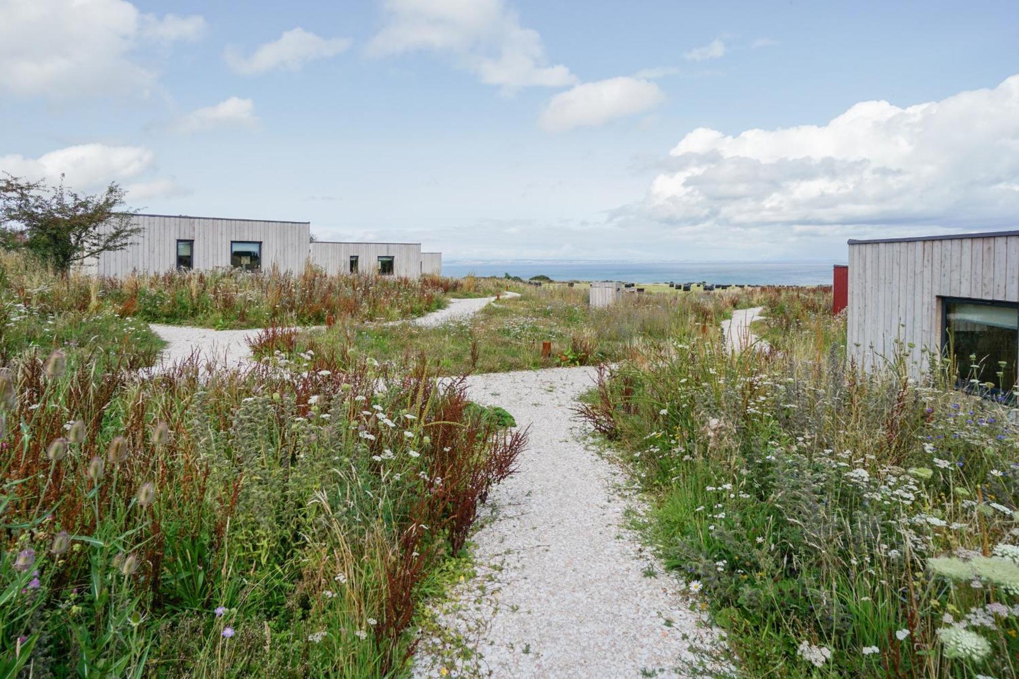 Rustic Cabins, Sea Views From Rewilded Farm With Highland Cows St Andrews Eksteriør bilde