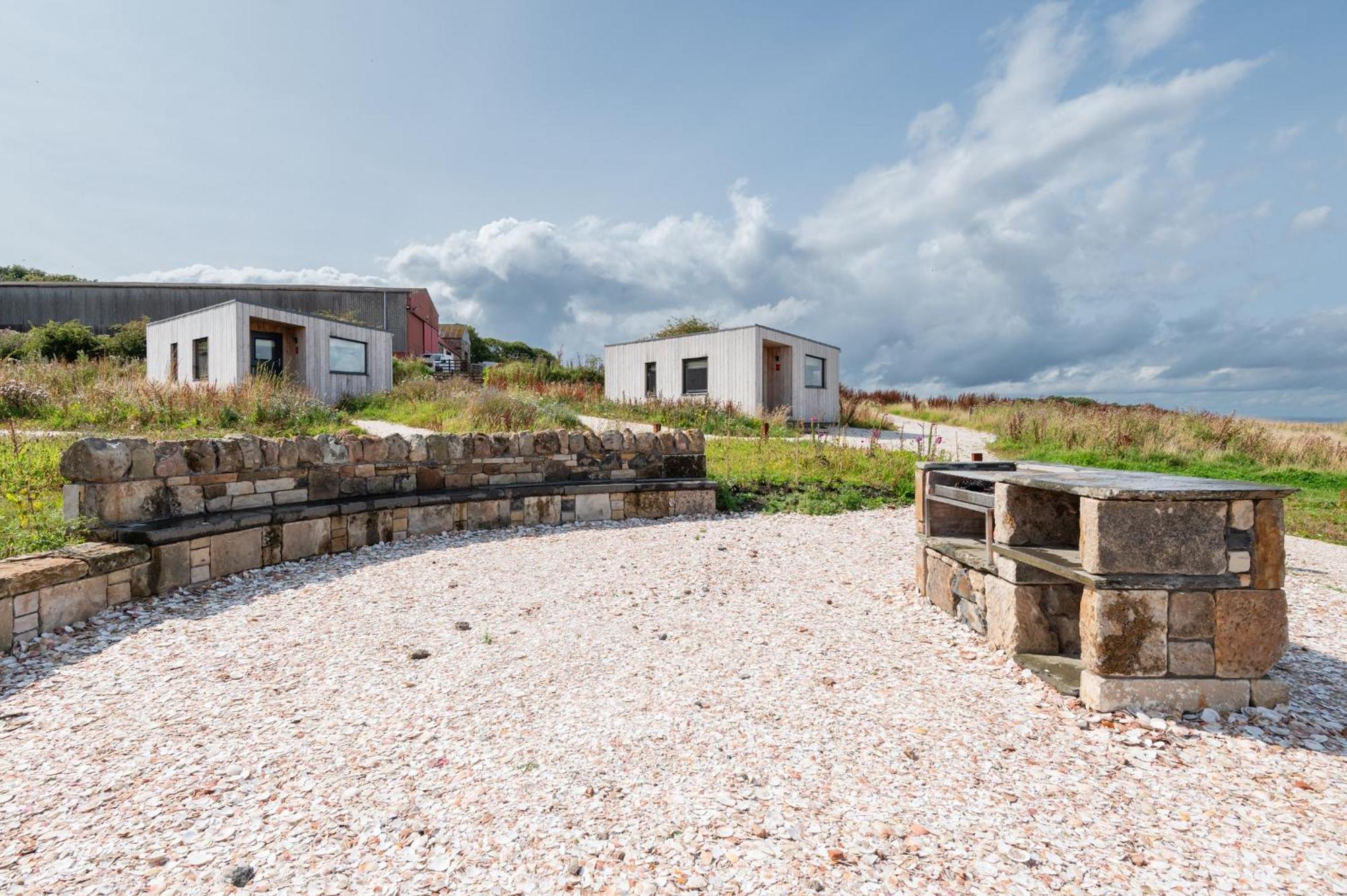 Rustic Cabins, Sea Views From Rewilded Farm With Highland Cows St Andrews Eksteriør bilde